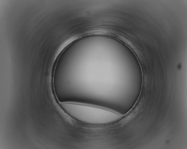 X0000097771426200803070850