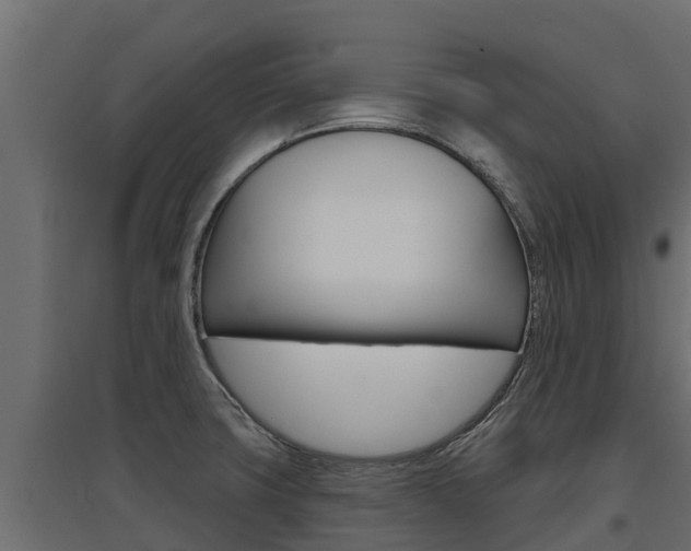 X0000097771427200803070850