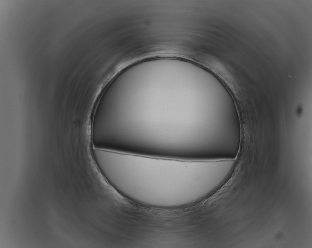 X0000097771428200803070850