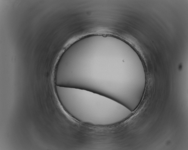 X0000097771429200803070850