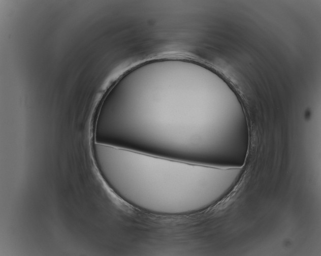 X0000097771430200803070850
