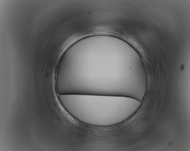 X0000097771431200803070850