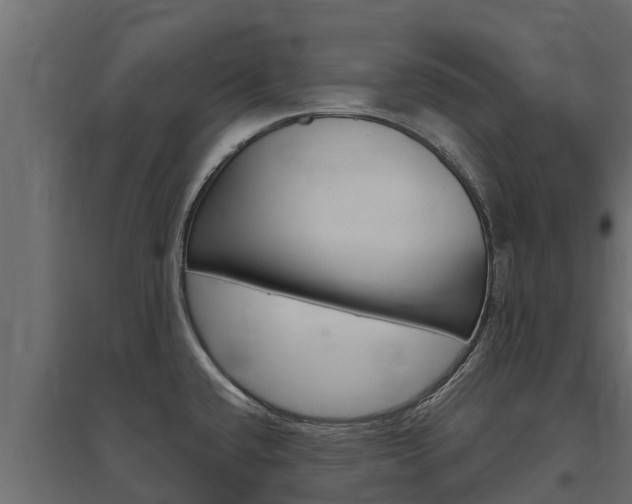 X0000097771432200803070850