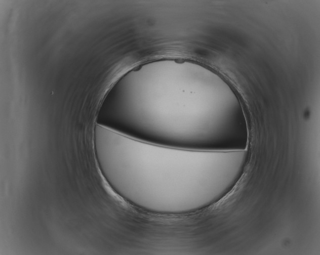 X0000097771433200803070850