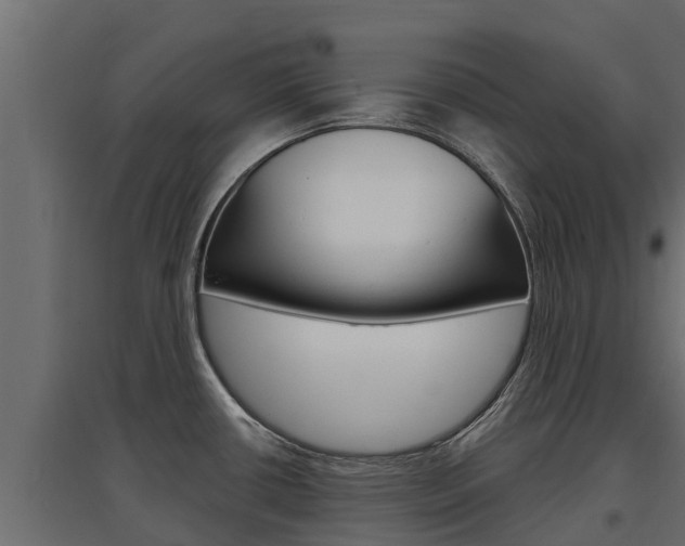 X0000097771434200803070850