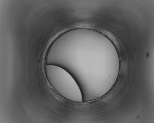 X0000097771435200803070850