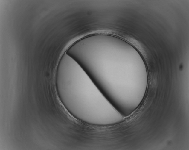 X0000097771436200803070850
