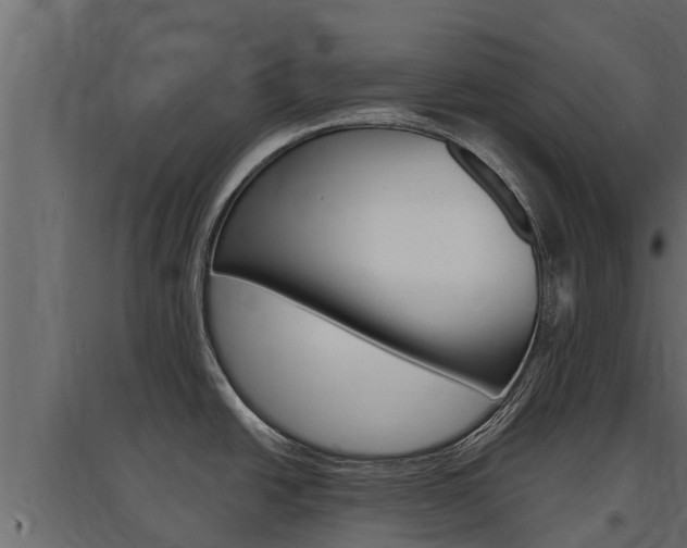 X0000097771438200803070850