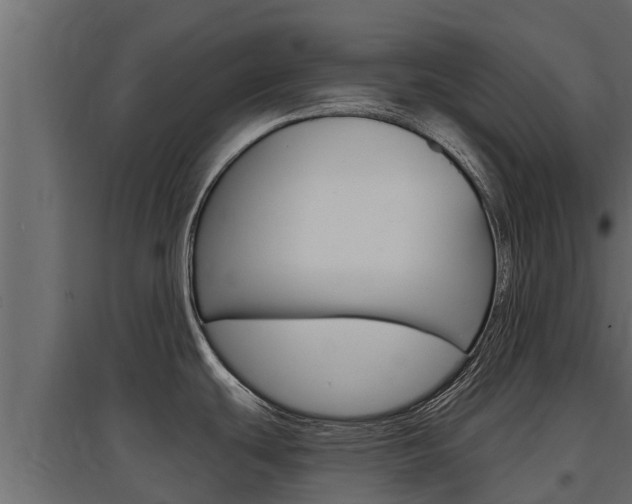 X0000097771439200803070850