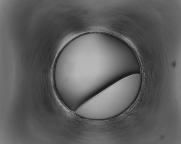 X0000097771440200803070850
