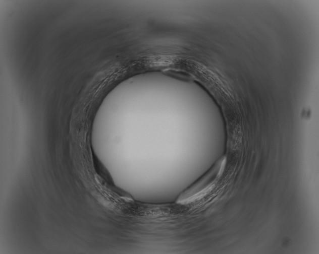 X0000097771441200803070849