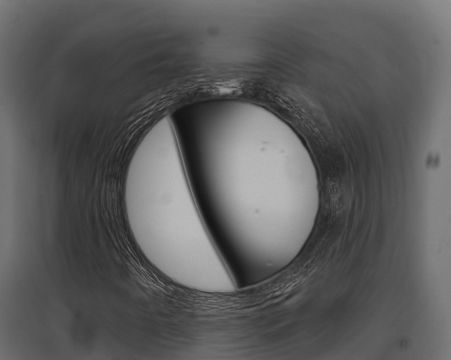 X0000097771442200803070849