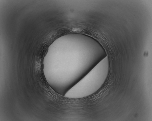 X0000097771443200803070849