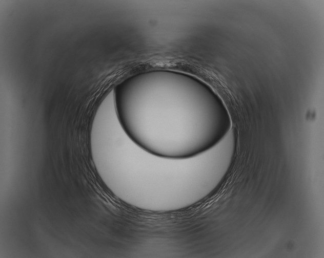 X0000097771444200803070849