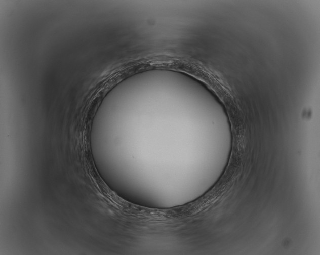 X0000097771445200803070849