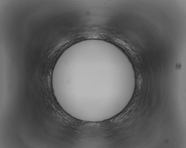 X0000097771446200803070849