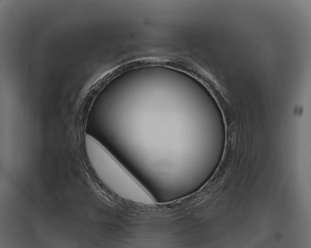 X0000097771448200803070849