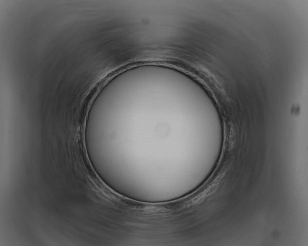 X0000097771449200803070849