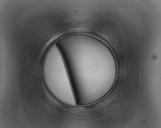 X0000097771450200803070849
