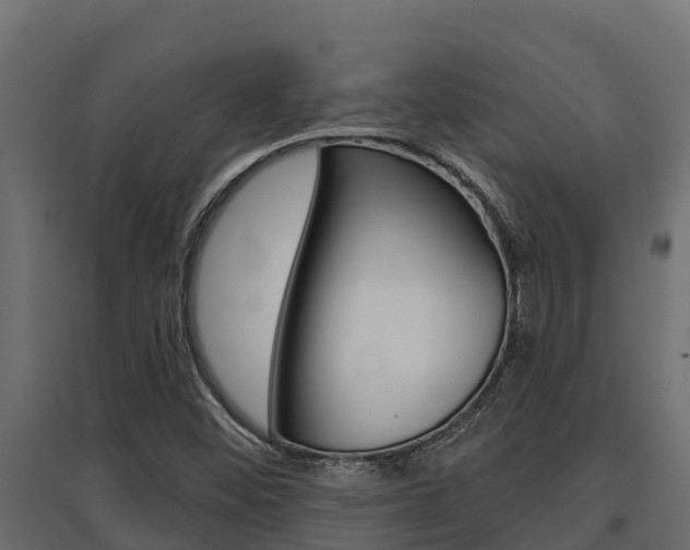 X0000097771452200803070849