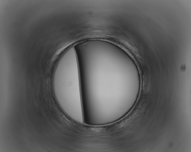 X0000097771453200803070849