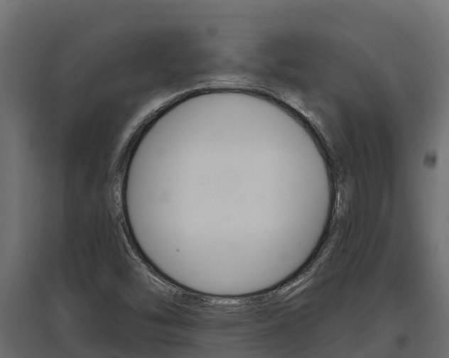 X0000097771454200803070849