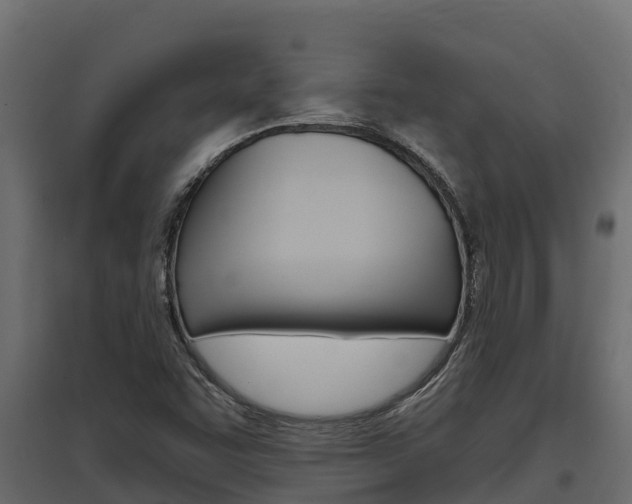 X0000097771455200803070849