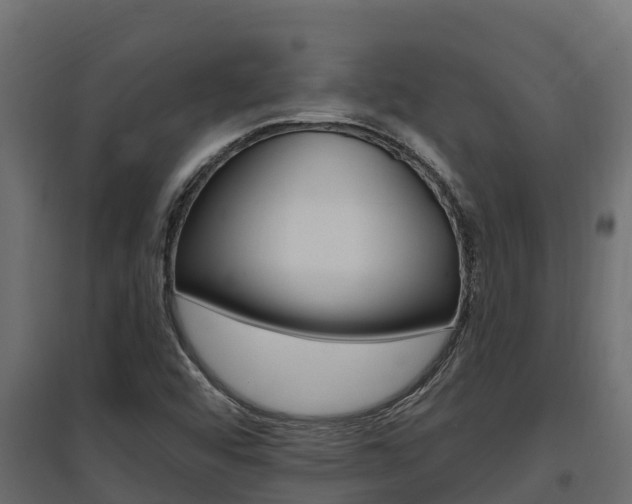 X0000097771456200803070849