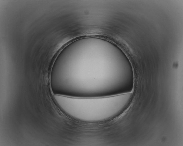 X0000097771457200803070849