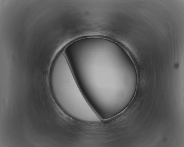 X0000097771460200803070849
