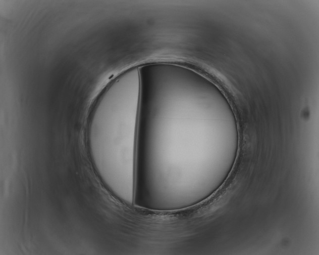 X0000097771461200803070849