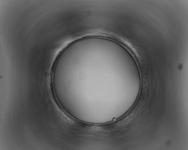 X0000097771463200803070849
