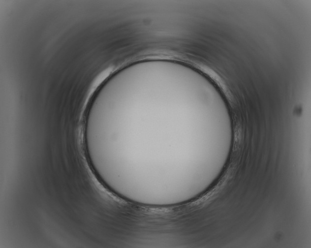 X0000097771466200803070849