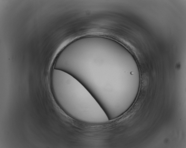 X0000097771467200803070849