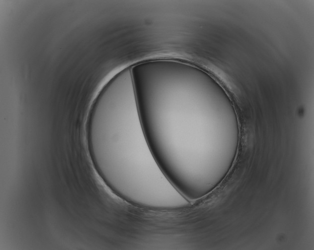 X0000097771468200803070849