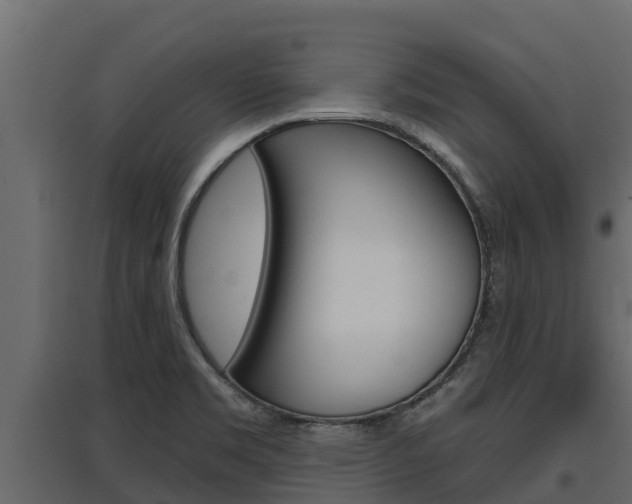 X0000097771469200803070849