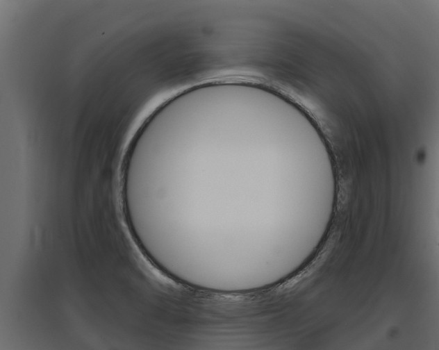 X0000097771470200803070849