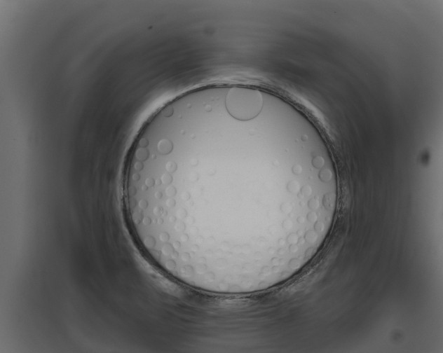 X0000097771471200803070849