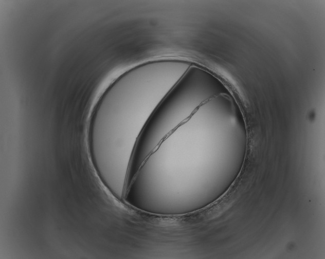 X0000097771472200803070849