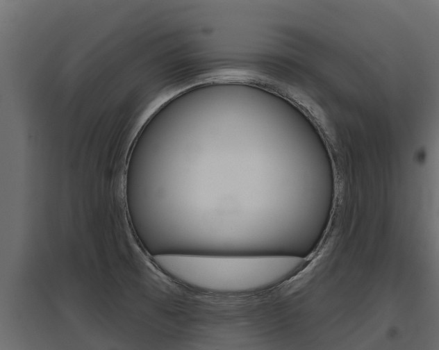X0000097771473200803070849