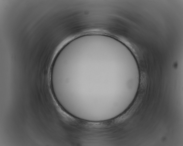 X0000097771474200803070849