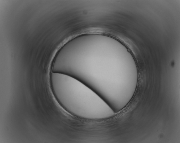 X0000097771475200803070849