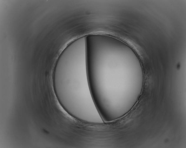 X0000097771476200803070849