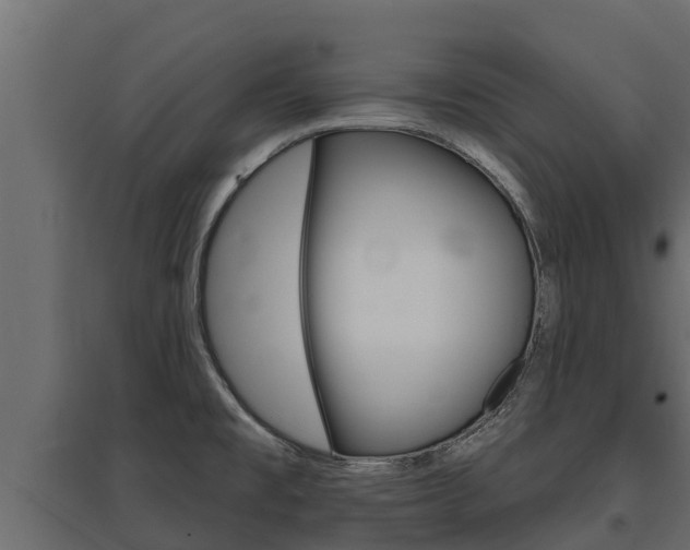 X0000097771477200803070849