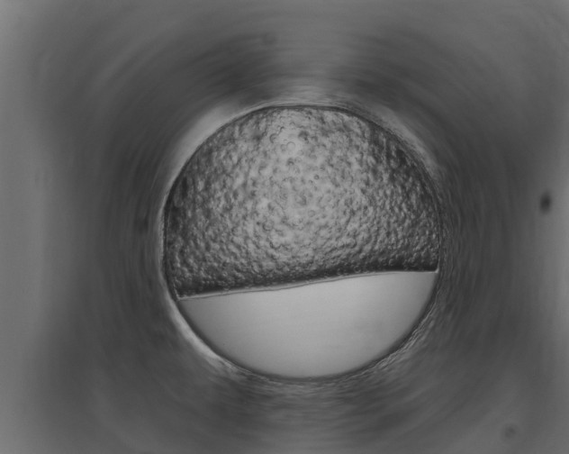 X0000097771479200803070849
