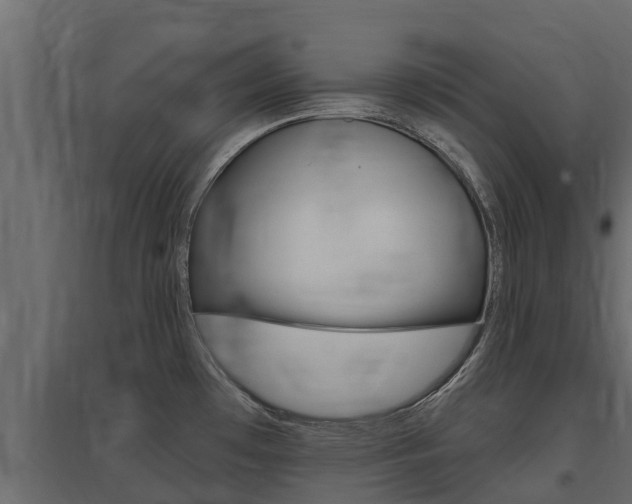 X0000097771481200803070848