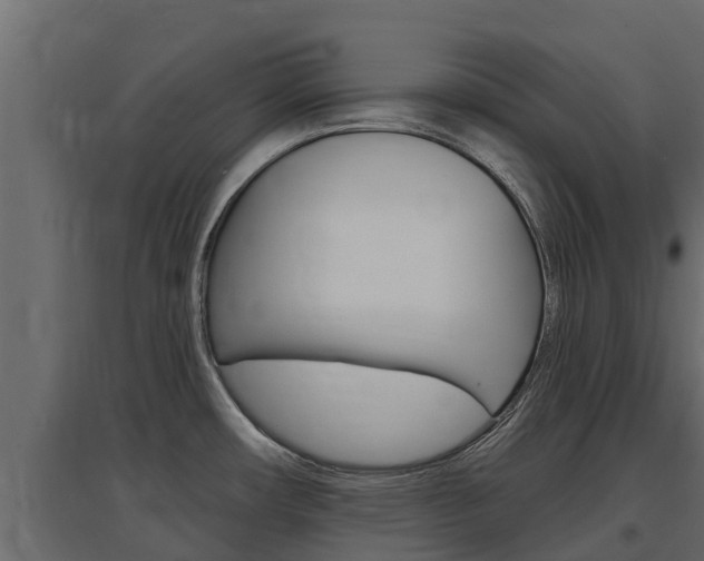 X0000097771482200803070848