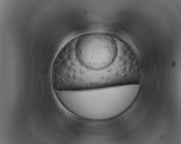 X0000097771483200803070848