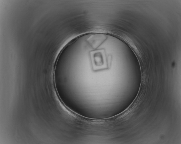 X0000097771484200803070848
