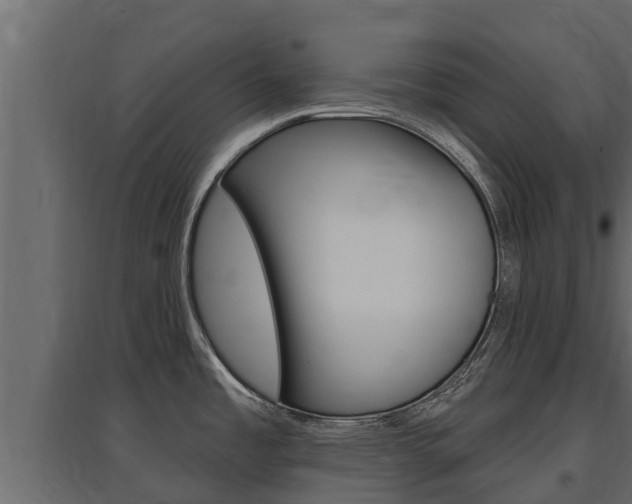 X0000097771485200803070848